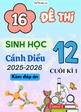 Tuyển tập 16 Đề thi cuối kì 1 năm học 2025-2026 môn Sinh học 12 Cánh Diều (Kèm đáp án)
